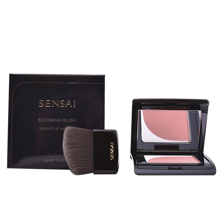Compact dual-tone mauve powder blush with white adjuster, 4 g, Unisex